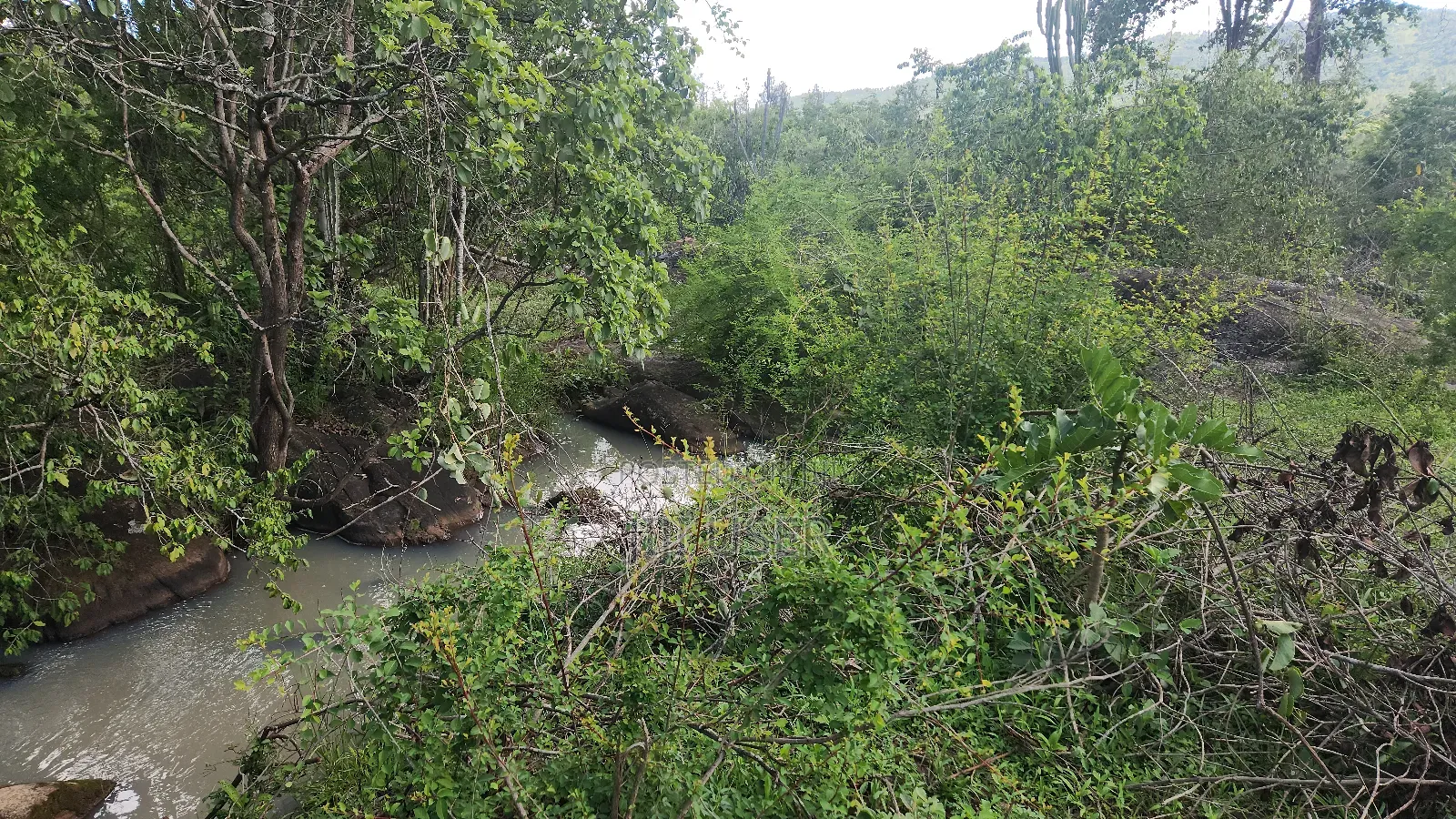 1.5 Acre Ithanga