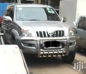 Prado 120 Bullbar Grill Guard Nudgebar