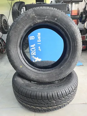 195/65r15 Mirage Tire