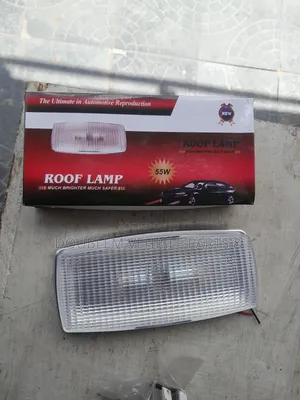 Universal Car Interior Roof Lamp/Light 24v Bus,Truck,Lorry,Matatu 55w