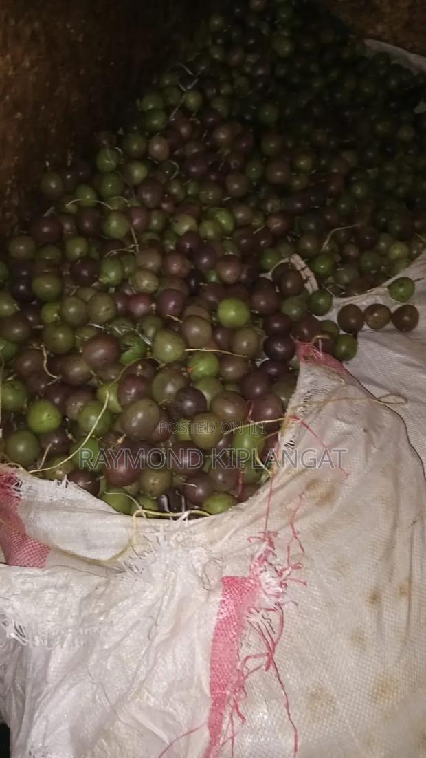 Passion Fruit - main view