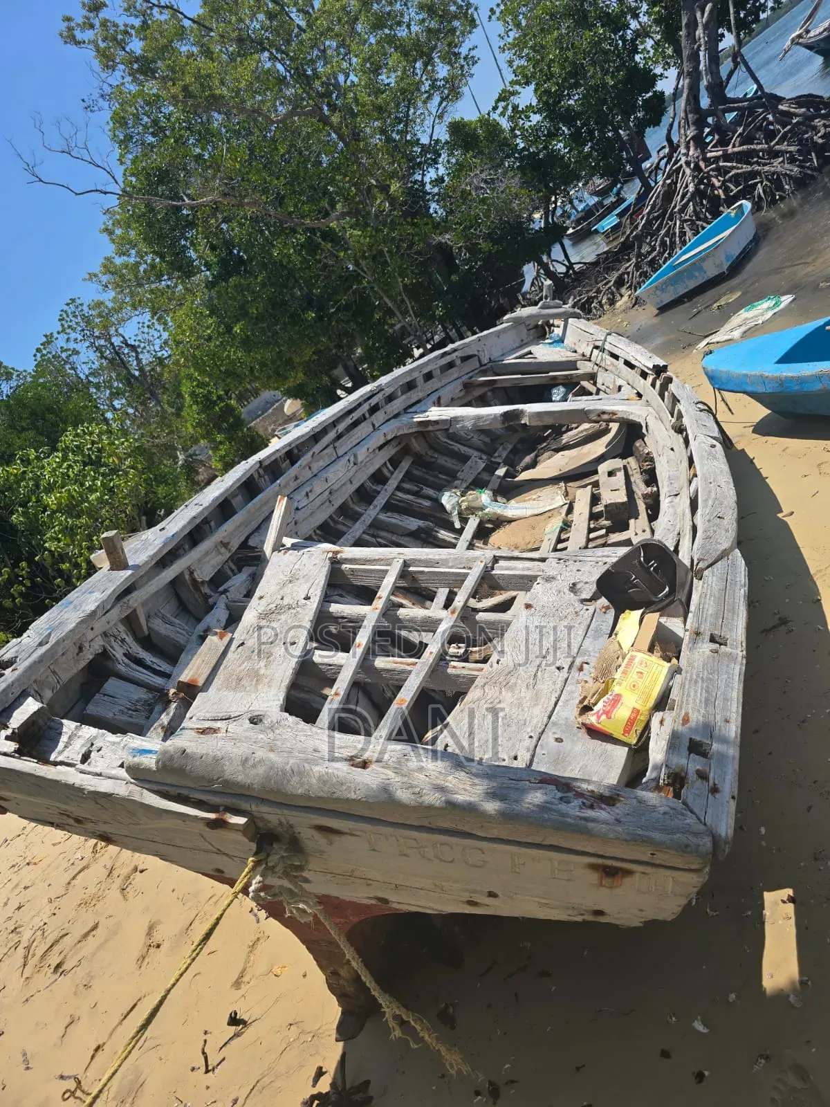 Dhow Sail Boat