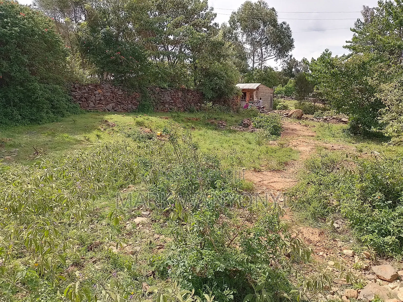 Plot for Sale in Soy