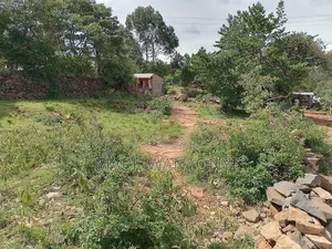 Plot for Sale in Soy