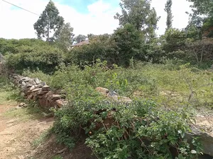 Plot for Sale in Soy