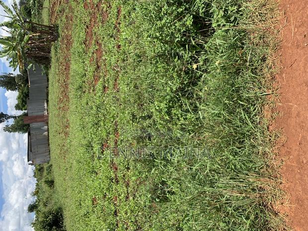 50 X100 No Sale Off Gatanga Kígio Road 7km From Blue Post Thika