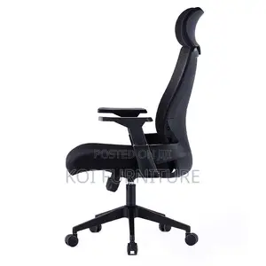 Office Chairs; Premium Orthopedic High Back Chair With Adjustable Arm