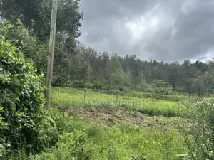 1/2 Acre on Tarmac Mua