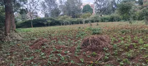 Plots for Sale