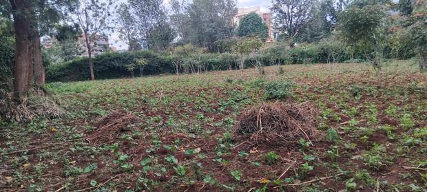 Plots for Sale