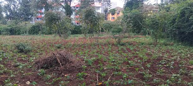 Plots for Sale - thumbnail 2