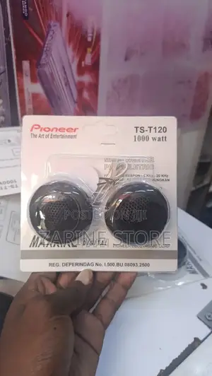 Pioneer Ts-T120 Dual Tweeters 1000watts