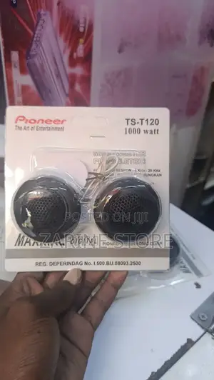 Pioneer Ts-T120 Dual Tweeters 1000watts