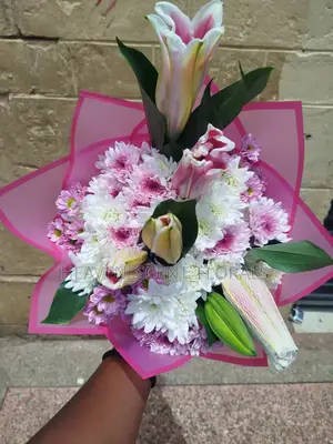 We Help You Celebrate Your Most Special Moments.