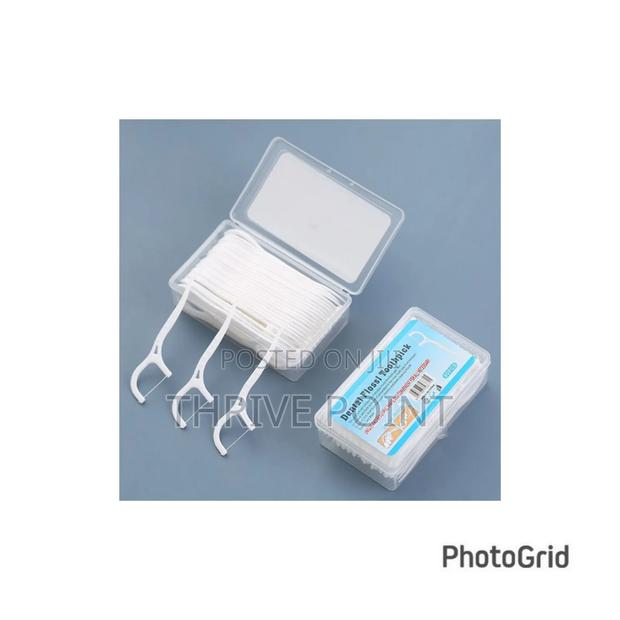 Dental Floss Toothpick - main view