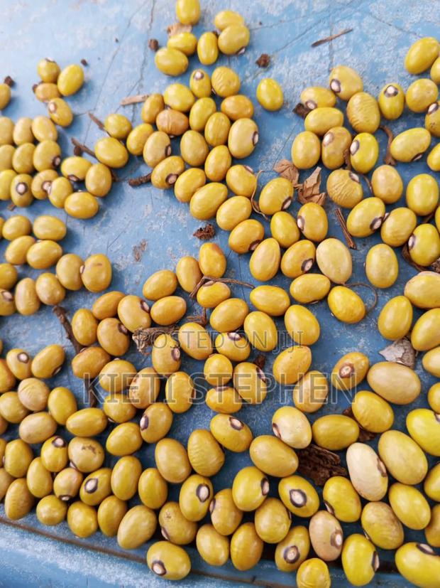 Yellow Beans - thumbnail 2