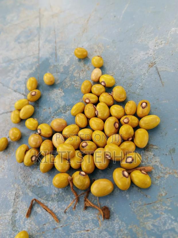 Yellow Beans - thumbnail 3