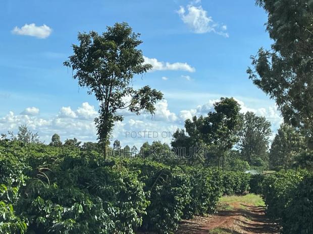 180 Acres of Prime Coffee Farm in Juja, 7km From Thika Price16m/Acre,
