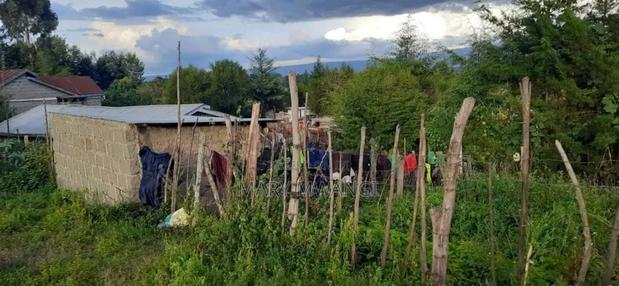 1 Acre for Sale Olkalou - thumbnail 3