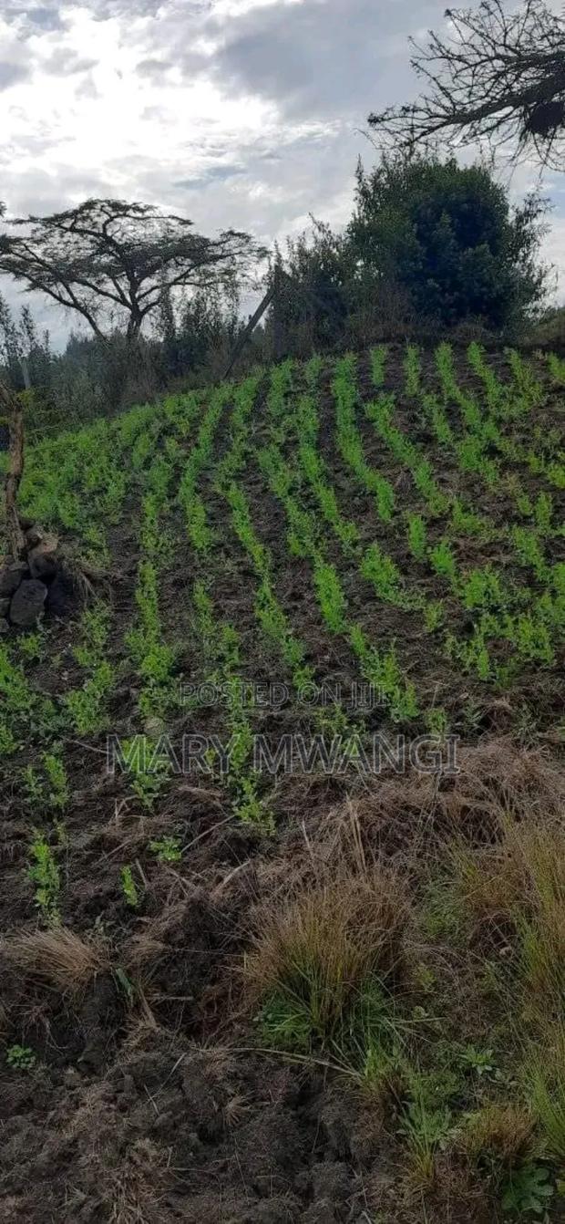 1 Acre for Sale Olkalou - thumbnail 4