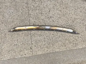 Harrier 2018 Bonnet Chrome