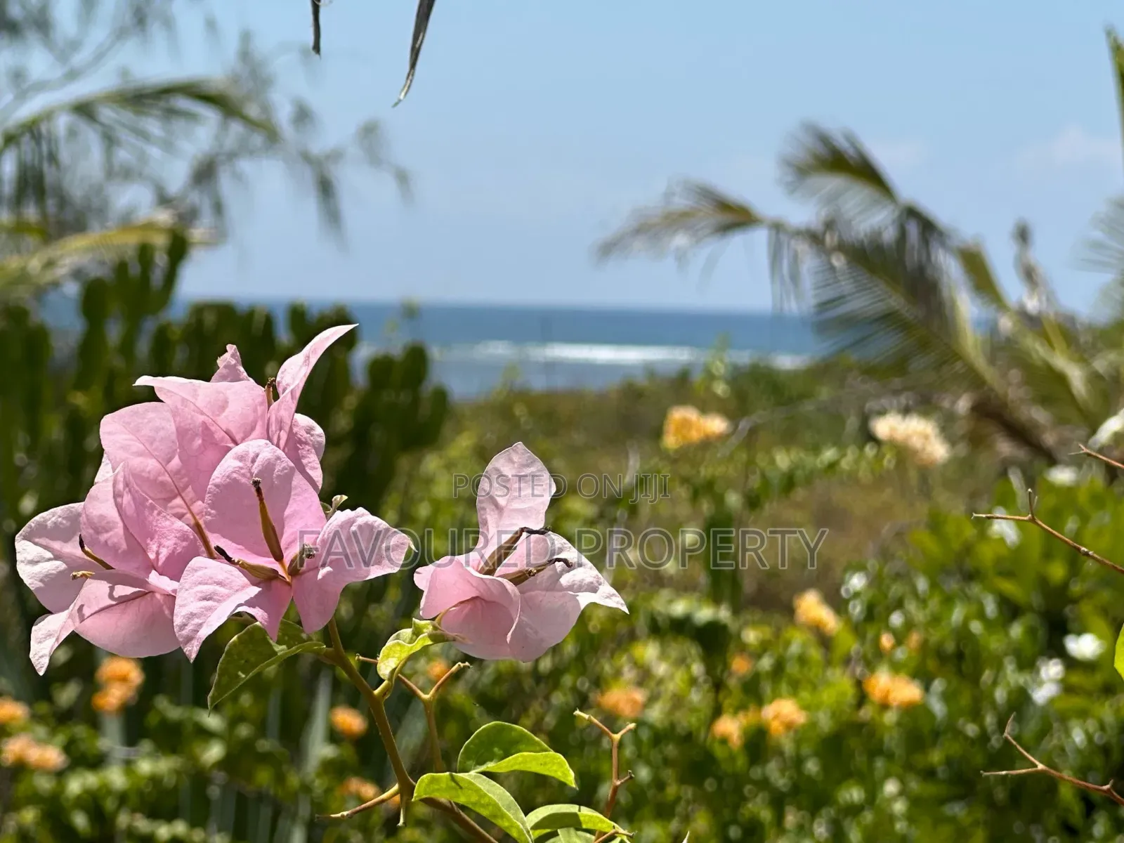 Watamu Holiday Home for Sale