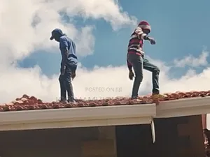 Roofing Expert 