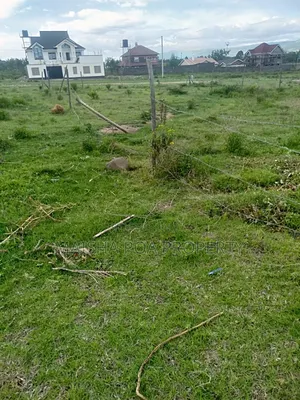 Pema Estate Plots