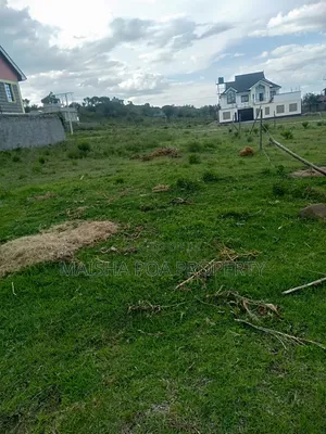 Pema Estate Plots