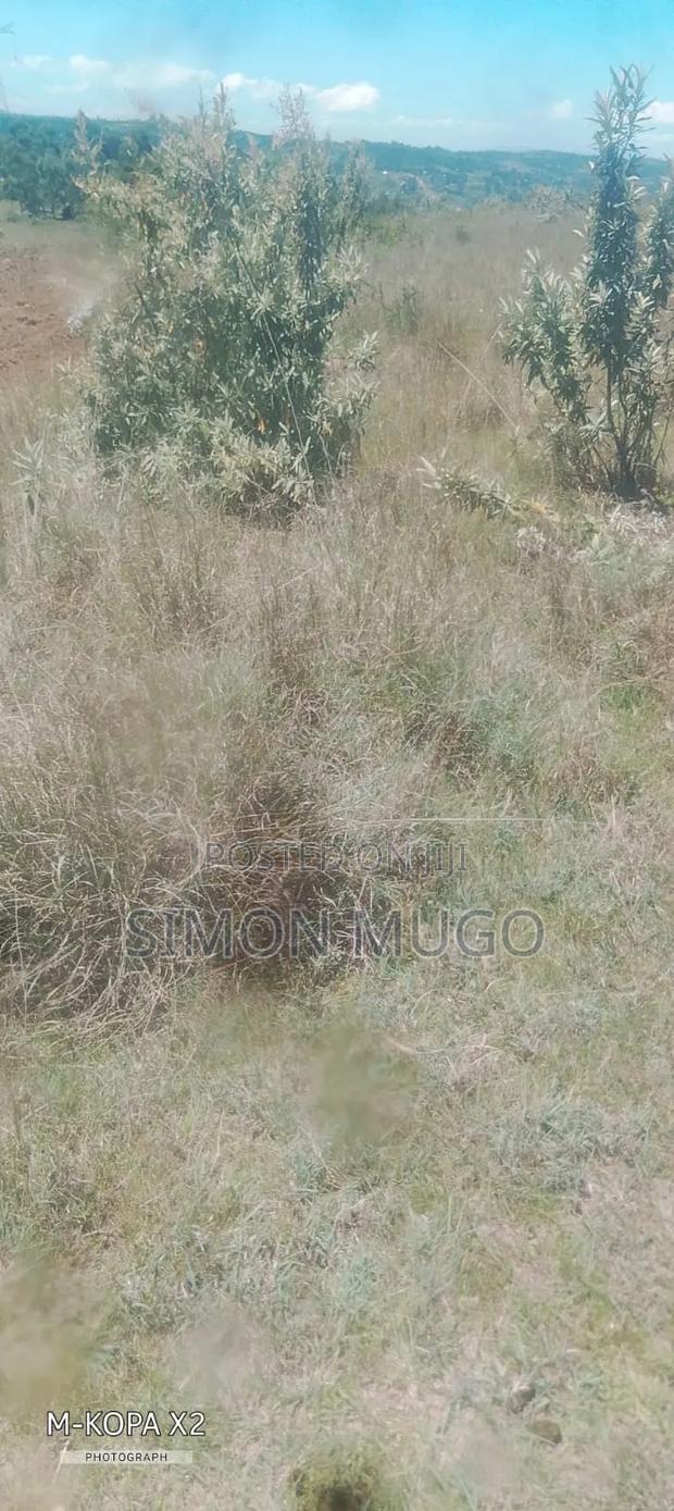 Olkalou Kaimbaga Prime Agricultural 50 Acres and 30 Acres