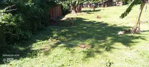 0.5 Acres Prime Land in Kakamega for Sale