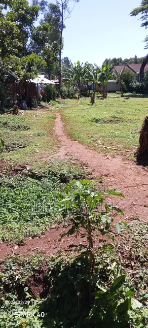 0.5 Acres Prime Land in Kakamega for Sale