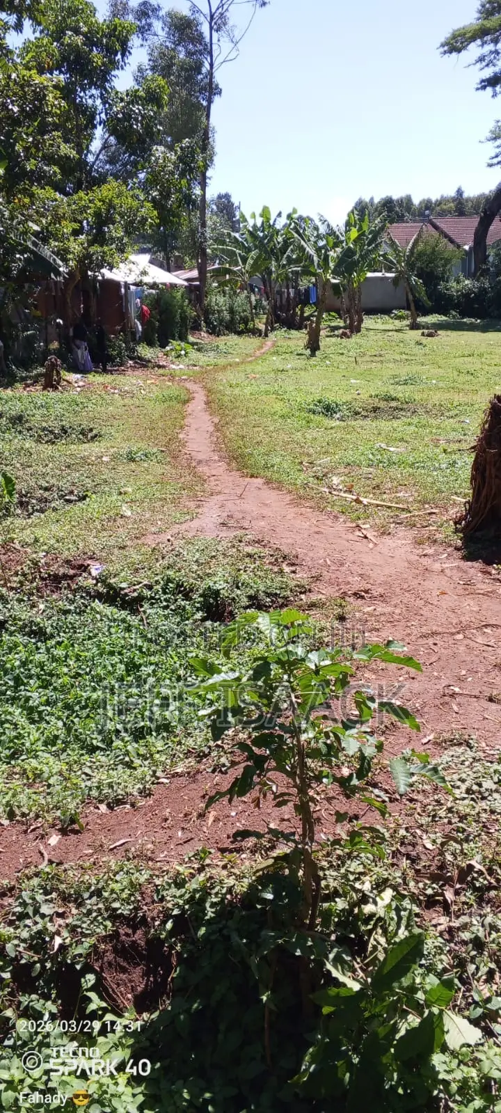0.5 Acres Prime Land in Kakamega for Sale