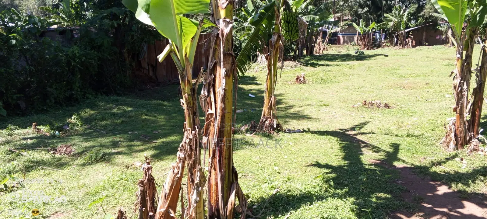 0.5 Acres Prime Land in Kakamega for Sale
