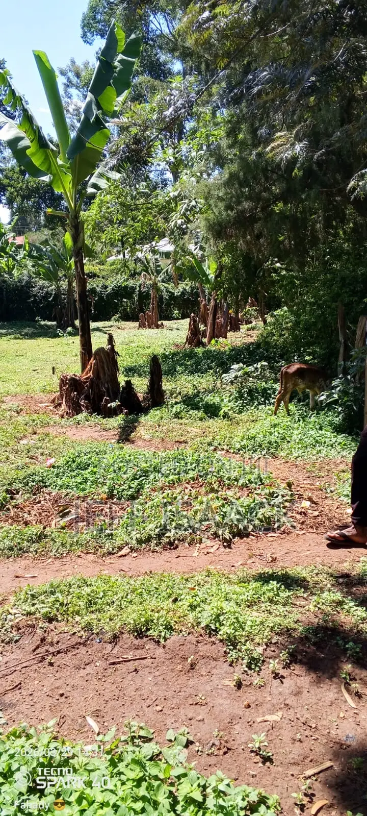 0.5 Acres Prime Land in Kakamega for Sale