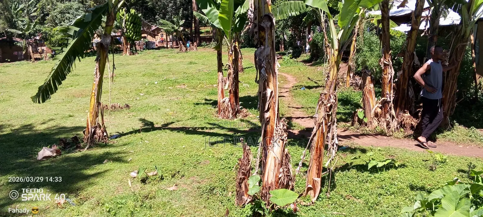 0.5 Acres Prime Land in Kakamega for Sale