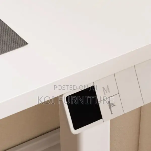 Office Desk : 1.2m Ergonomic Electric Standing Desk