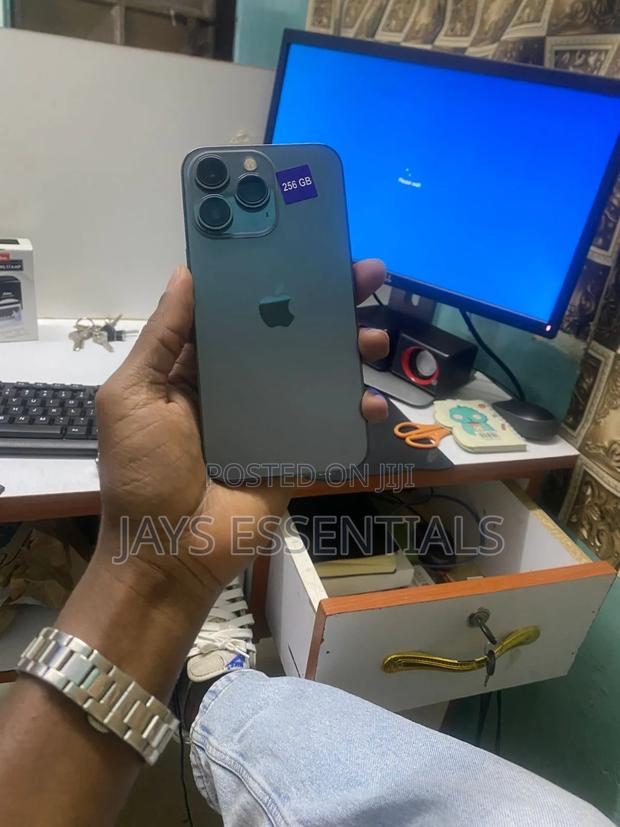 Apple iPhone 13 Pro 256 GB Gray