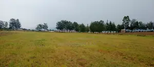 50x100 Pema Estate Plots, Nakuru || Springboard Investment LTD