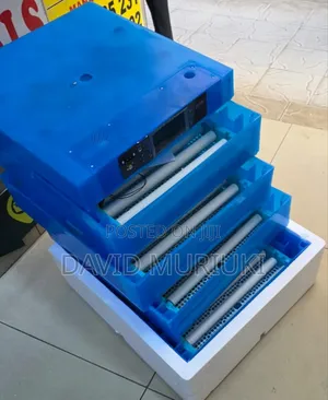 528 Eggs Fully Automatic Egg Incubator With Digital Control.