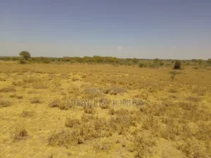 50*100 Plot in Oltoroto