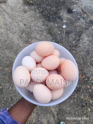 Kienyeji Eggs