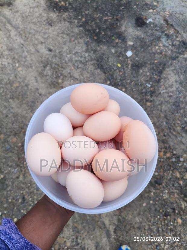 Kienyeji Eggs - thumbnail 3