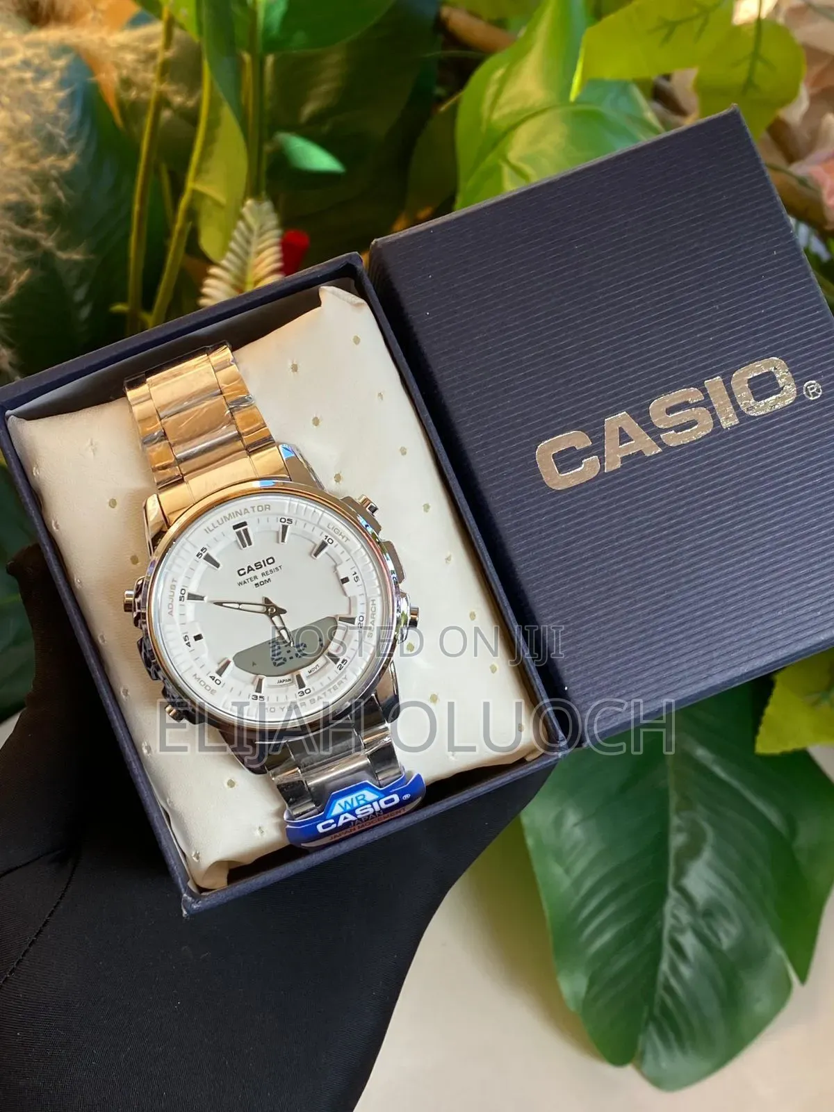 Casio Dual Time Watch
