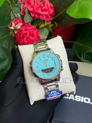 Casio Dual Time Watch