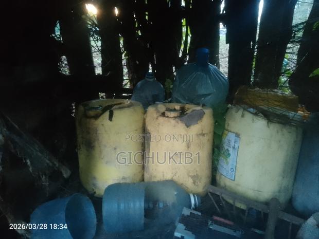 Rabbit Urine Available At 150 Per Litre - thumbnail 2