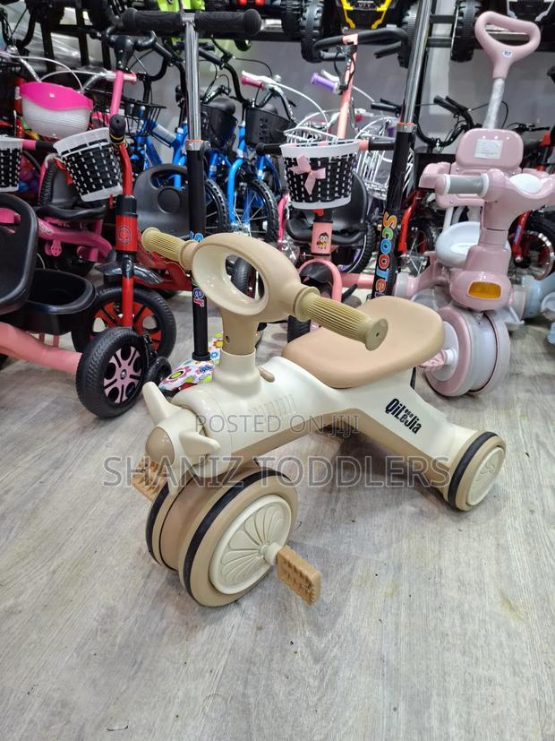 Luxury Kids Tricycles (2-4yrs )