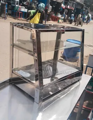 Stainless Steel Electric Chips Display/Warmer
