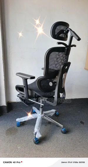 Executive High Back Orthopedic C. E. O Office Chair