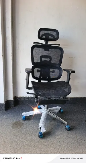 Executive High Back Orthopedic C. E. O Office Chair